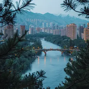 城市的生活为什么这么难